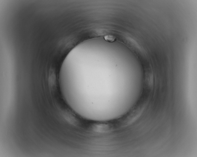 X0000111530220200907211251