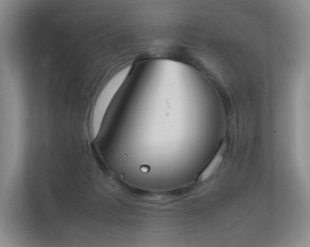 X0000111530221200907211251