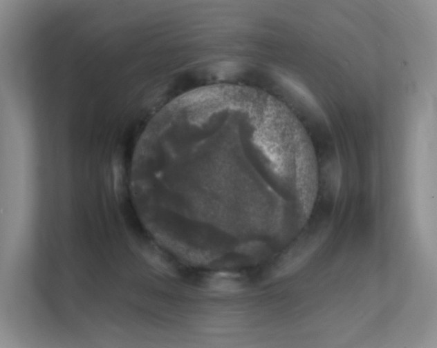 X0000111530222200907211251