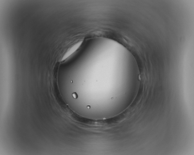 X0000111530223200907211251