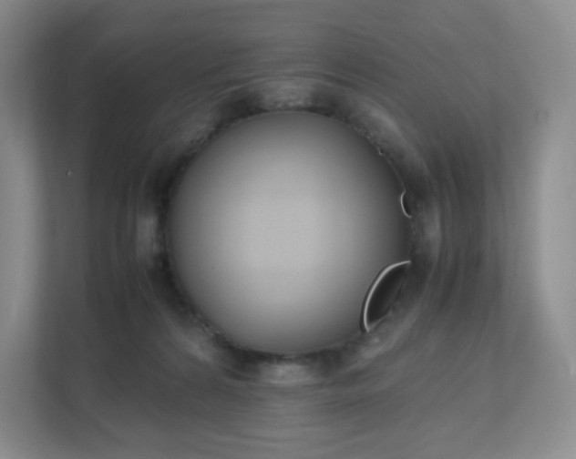 X0000111530224200907211251