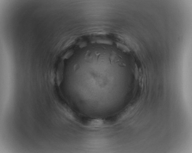 X0000111530227200907211251