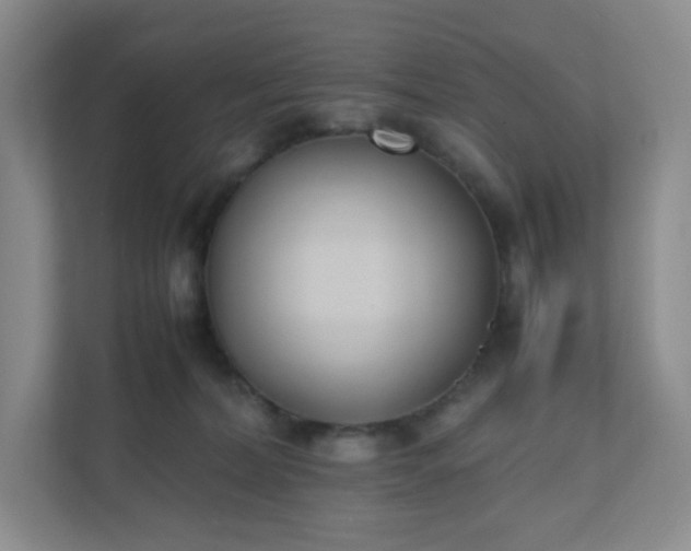 X0000111530228200907211251