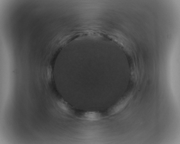 X0000111530231200907211251