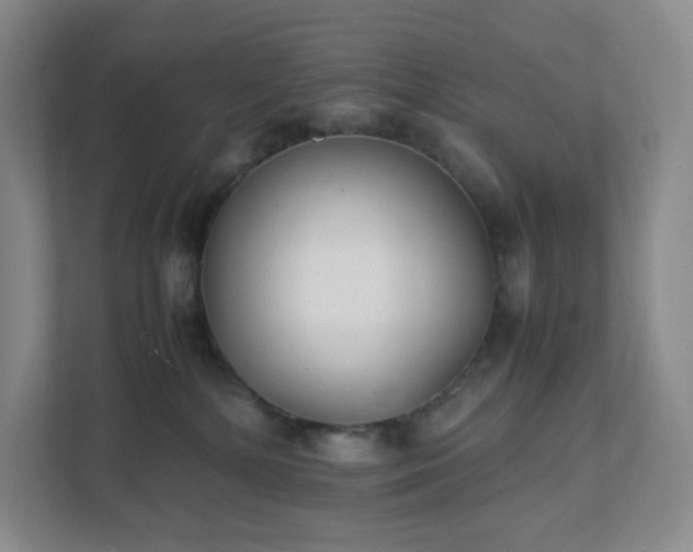 X0000111530232200907211251