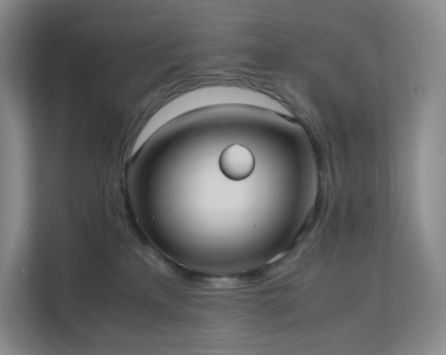 X0000111530233200907211251