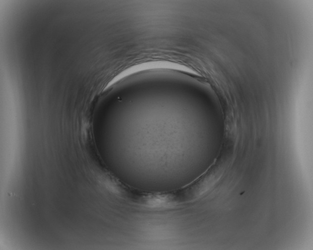 X0000111530235200907211251