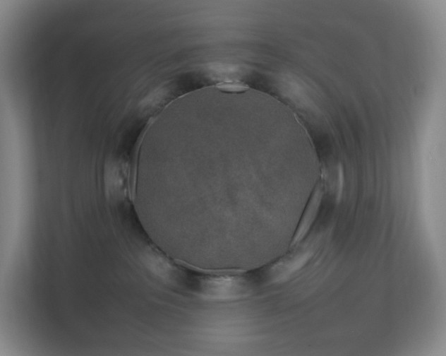 X0000111530237200907211251