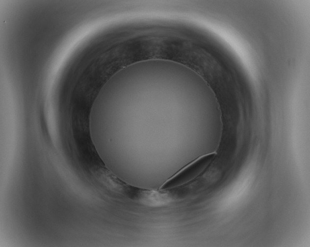 X0000111530239200907211251