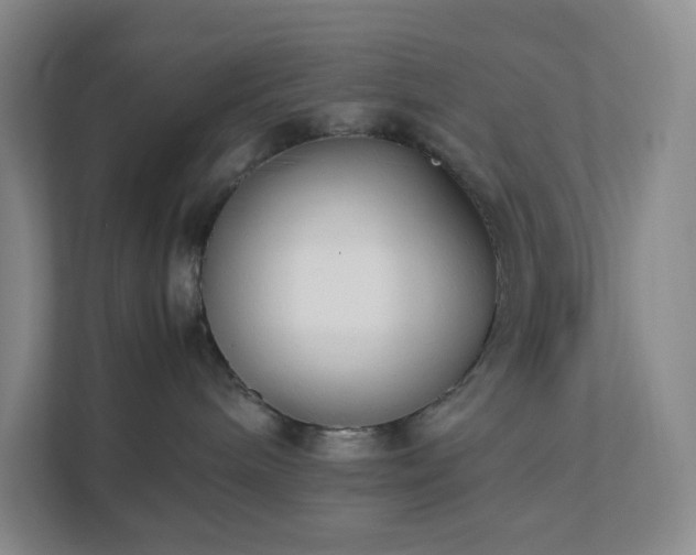 X0000111530240200907211251