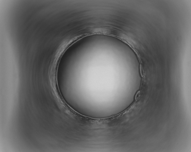 X0000111530241200907211250