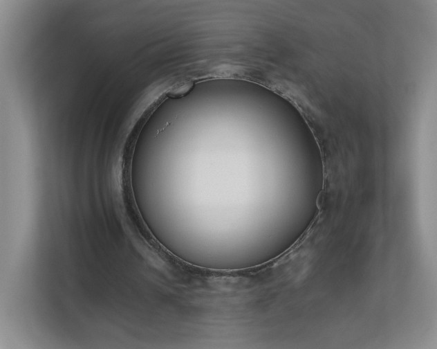 X0000111530242200907211250