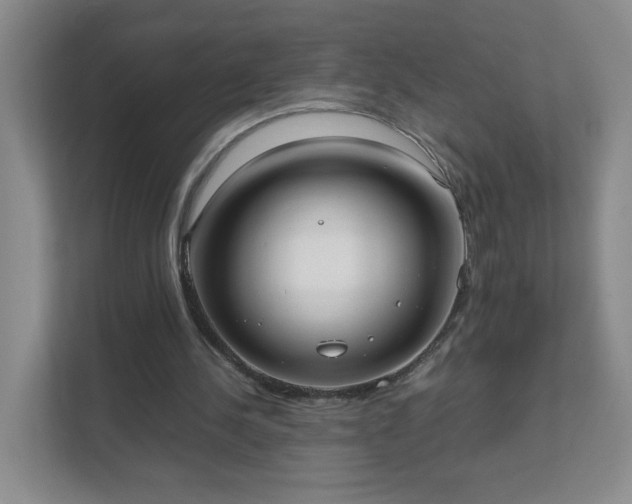 X0000111530244200907211250