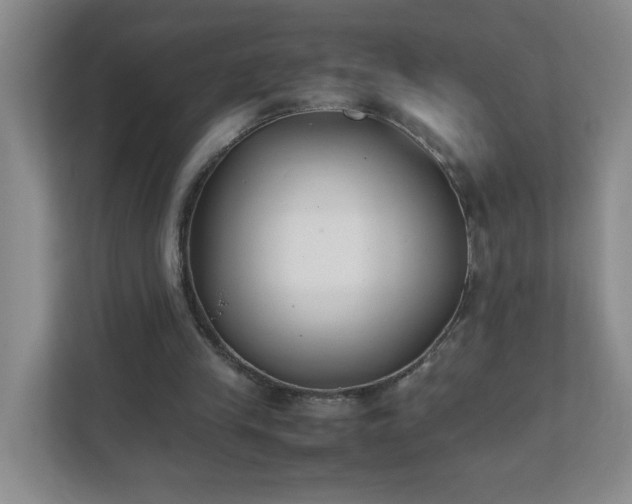 X0000111530245200907211250