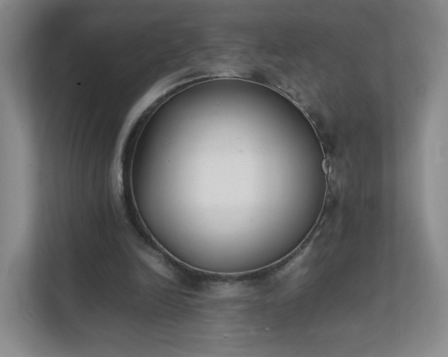 X0000111530246200907211250