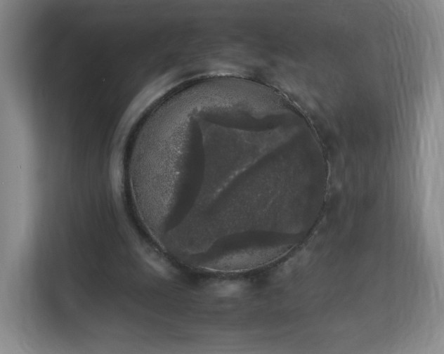 X0000111530247200907211250