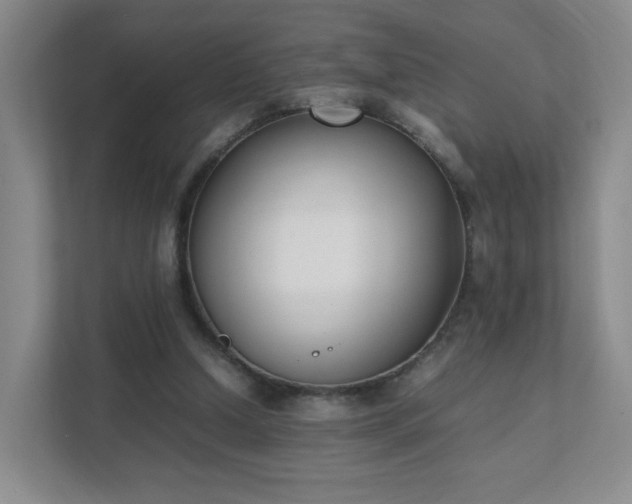 X0000111530250200907211250