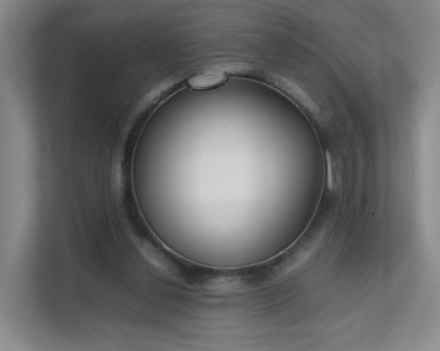 X0000111530252200907211250