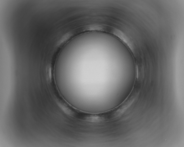 X0000111530253200907211250