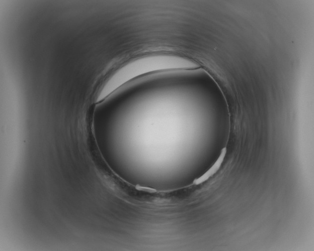 X0000111530256200907211250