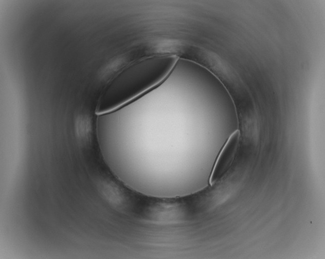 X0000111530260200907211250