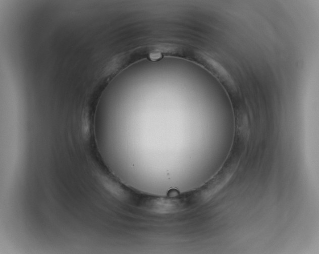 X0000111530261200907211250