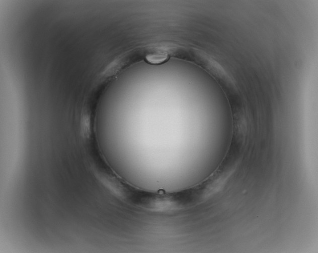 X0000111530262200907211250