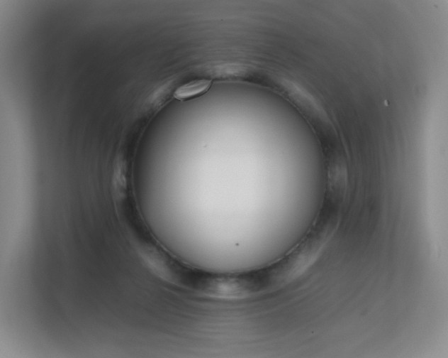 X0000111530264200907211250