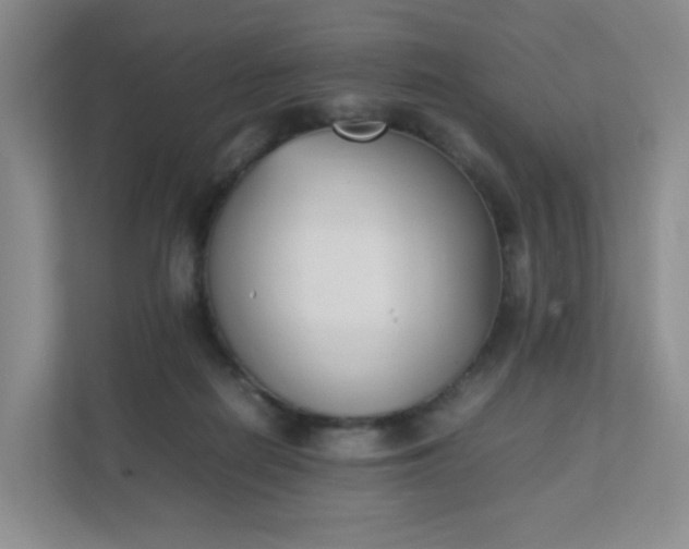 X0000111530266200907211250