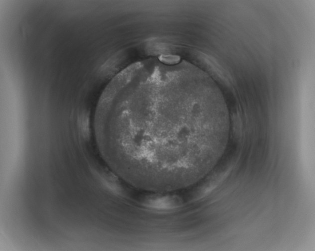 X0000111530267200907211250