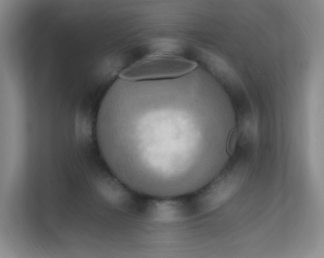 X0000111530268200907211250