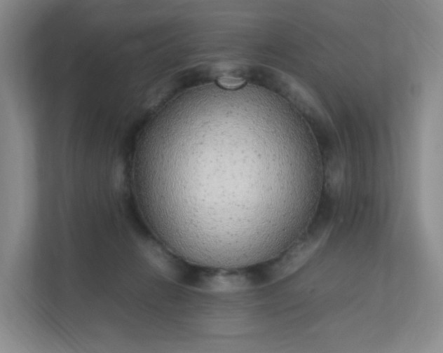 X0000111530270200907211250