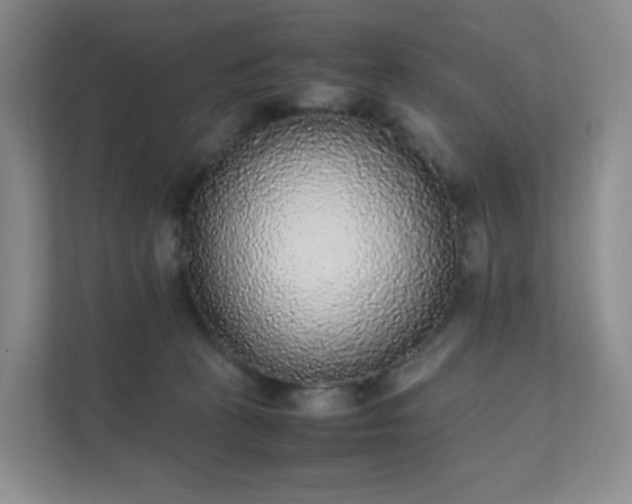 X0000111530273200907211250