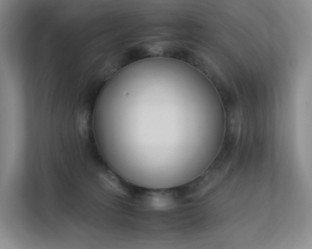 X0000111530275200907211250