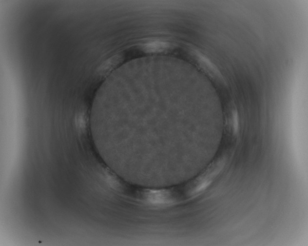 X0000111530277200907211250