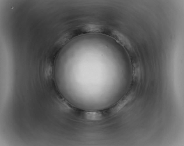 X0000111530281200907211250