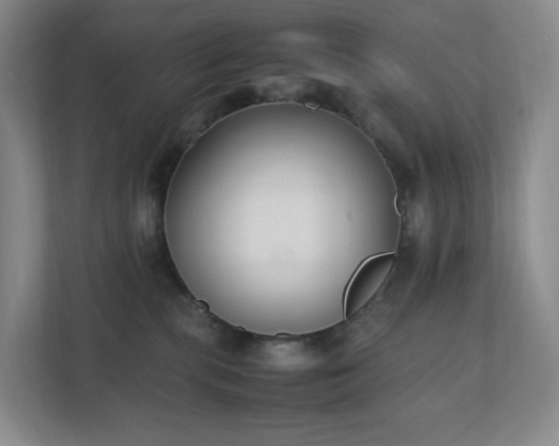 X0000111530283200907211251