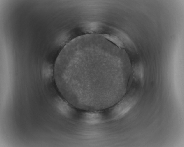 X0000111530284200907211251