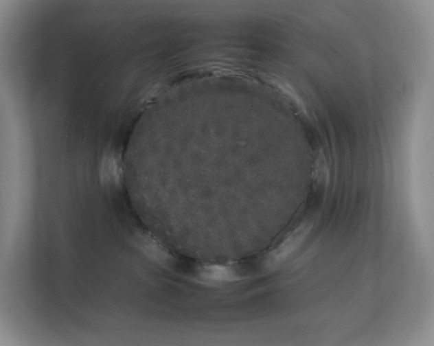 X0000111530285200907211251