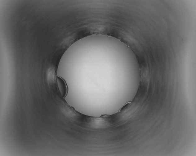 X0000111530287200907211251