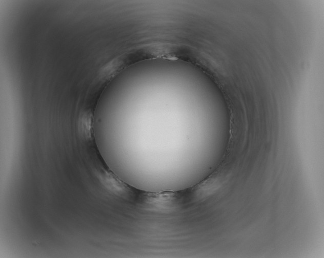 X0000111530288200907211251