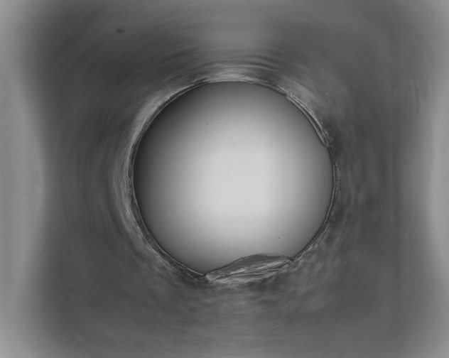 X0000111530289200907211250