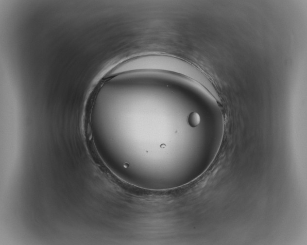 X0000111530292200907211250