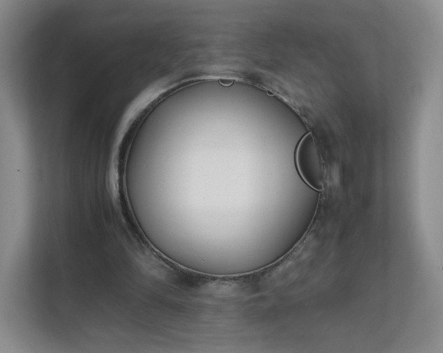 X0000111530294200907211250