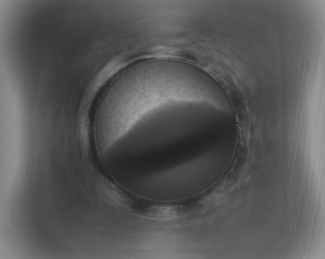 X0000111530295200907211250