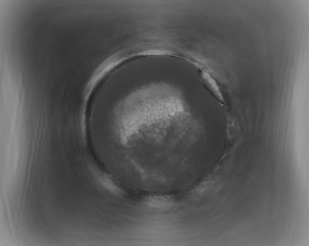 X0000111530296200907211250