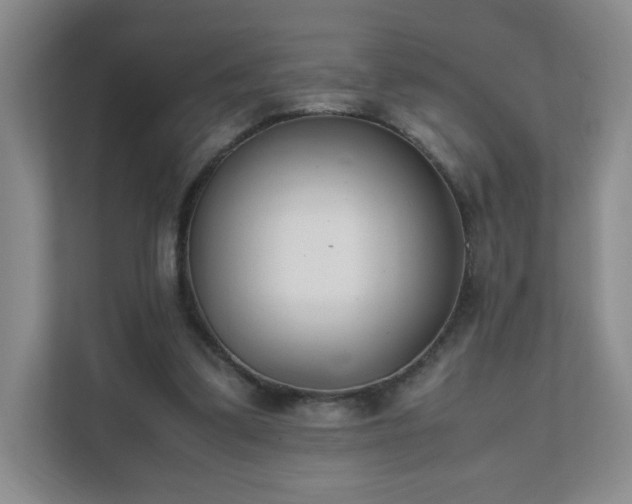 X0000111530299200907211250