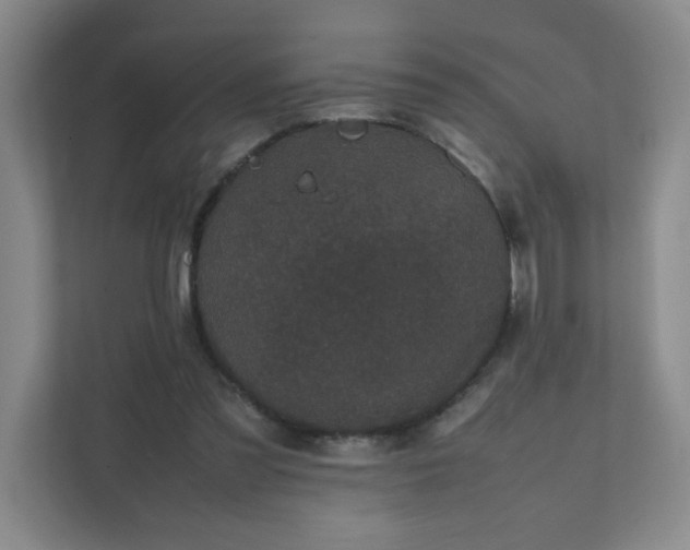 X0000111530301200907211250