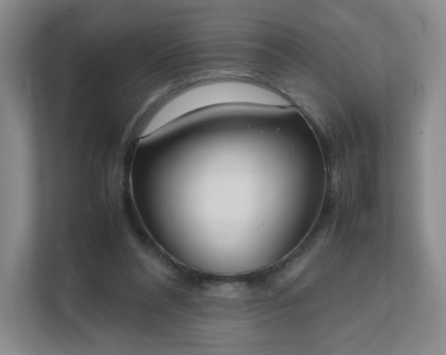 X0000111530304200907211250