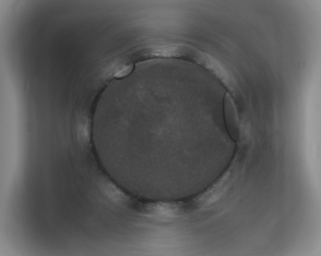 X0000111530305200907211250